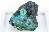 Rare Blue Buttgenbachite w/ Malachite & Cuprite - DR Congo #305424-1